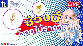 ROGGT EP 227  ช่วงนี้ดอกไม้ราคาดี [upl. by Lahpos]