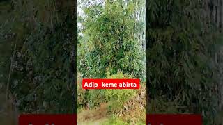 Adip keme abirta shortvideo [upl. by Zeugirdor]