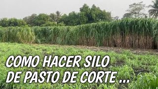 Como hacer silo de pasto de corte  Finca las Flores 🇸🇻 [upl. by Yahc]