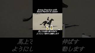 オリンピック出場 ボイド・マーティン氏の馬術講習会 馬事公苑 2024 [upl. by Fatsug]