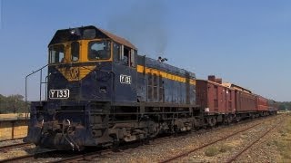 Tourist Railways  Y133 on the VGR at Muckleford Sun 200113 [upl. by Ahsirk]