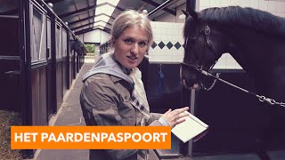 Alles over het paardenpaspoort  PaardenpraatTV [upl. by Cami]