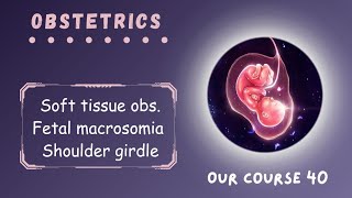 Rev Soft tissue obs  Fetal macrosomia amp Shoulder dystocia  Page 220  224  Obstetrics Module 40 [upl. by Ardnuas]