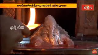 Swetharka  14 days Ashranma Nivasa Pujas and Pravachanams  BhakthiTv bit [upl. by Weed]