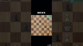 Amazing MATE IN 25 😱‼️ chess 🔥 chessproblems chessgame games gaming checkmate player move ♟️ [upl. by Yolande152]