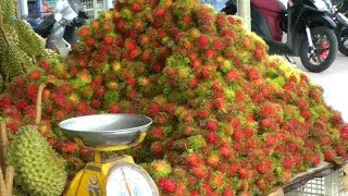 A Rambutan  Lychee Fruit Comparison  Nephelium lappaceum [upl. by Tnomad]