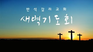 반석감리교회안양 온라인 새벽 기도회 2024년 11월 21일 목 [upl. by Robson313]