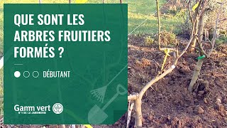 TUTO Que sont les arbres fruitiers formés  – Jardinerie Gamm vert [upl. by Reckford]