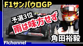 【F1】サンパウロGP決勝 角田裕毅3番グリッド活かせずも存在感示す！ [upl. by Anaidiriv]