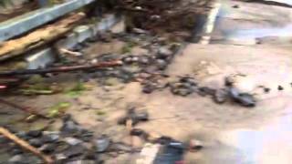 Penn Yan Rushing Water n Damage Cell Phone Vids [upl. by Aigneis]