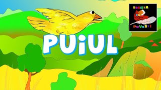 Puiul 📖 Poveste Colorata [upl. by Ola799]