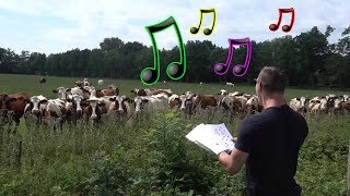 Live Burp Concert in Front of Cows [upl. by Krause]