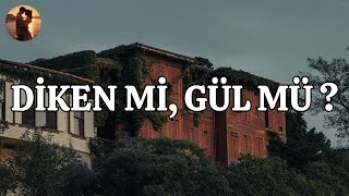 EYPİO amp SİBEL CAN  DİKEN Mİ GÜL MÜ  LYRİCS  SÖZLERİ [upl. by Braca]