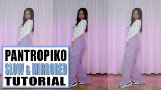 BINI  PANTROPIKO Dance Tutorial Slow amp Mirrored  Rosa Leonero [upl. by Lantz755]