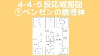 445①ベンゼンの誘導体 [upl. by Eocsor]