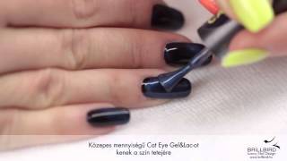 BrillBird Cat Eye Step by Step [upl. by Doyle235]