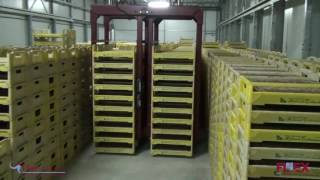 Germination room automation  Trubenbach [upl. by Ridglee462]