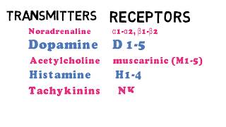 What are Neurotransmitters and their receptors [upl. by Yrdua431]