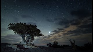 Great Basin National Park Film [upl. by Hizar]