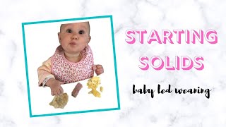 STARTING SOLIDS FOR BABY  BABY LED WEANING BASICS  BLW 6 MONTHS [upl. by Clova]