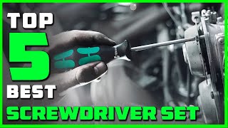 Best Screwdriver Set in 2024  Top 5 Screwdriver Sets Review [upl. by Karl]