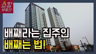 전세금 돌려받기 이렇게 하세요 속출하는 전세금 미반환 사고 대처 방법 [upl. by Christal720]