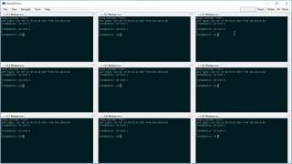 WinSSHTerm  Cluster Mode [upl. by Lalittah503]