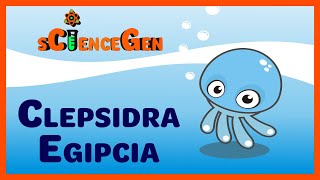 💧CLEPSIDRA El CRONOMETRO DE AGUA del Antiguo Egipto 💦 Atrapados en el TIEMPO 1️⃣1️⃣ [upl. by Eruza]