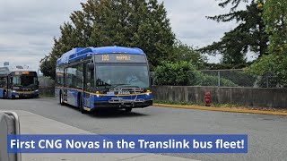 The first Novabus CNG buses Translinks fleet  Translink 20232024 Novabus LFS Natural Gas 24104 [upl. by Schnurr]