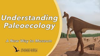 Understanding Paleoecology  A New Way to Museum [upl. by Atinoj769]