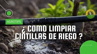 ¿ Como limpiar cintillas de riego [upl. by Fanchette346]