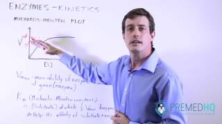 Enzyme Kinetics with MichaelisMenten Curve  V s Vmax and Km Relationships [upl. by Edmonds]