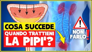 Cosa succede se trattieni a lungo la pipì Fa male Quali sono le conseguenze  Apparato Urinario [upl. by Hankins]