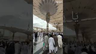 Asalam o alika yea rasool allah ﷺ shorts viralvideo madina [upl. by Walburga]