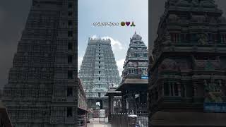 Arunachalam🥹🙏💓arunachalam tamilnadutempleshyderabad travel travelvlog traveling shivam [upl. by Nednerb]