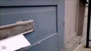 Ferocious Cat Battles the Mailman Through the Mail Slot [upl. by Kimble293]