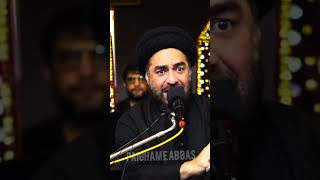 The City Of Bibi Zainabص  Maulana Ali Raza Rizvi  shorts [upl. by Enihsnus]