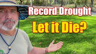 Record Drought Lawn Care What Next [upl. by Adnah287]