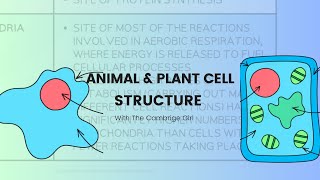 Structure of Animal and Plant cellBiology  IGCSE  06100970 [upl. by Anitnegra]