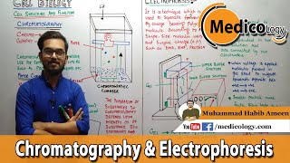 Chromatography amp Electrophoresis  Techniques use in cell biology  Federal board Biology XI [upl. by Floro]