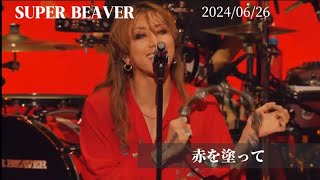 SUPER BEAVER Live【赤を塗って】 [upl. by Ahsema932]