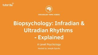 Biopsychology Infradian and Ultradian Rhythms Explained [upl. by Alvis775]