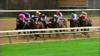 2000 Breeders Cup Classic [upl. by Newol]