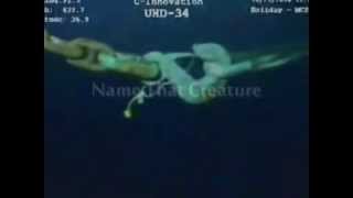 Unidentified creatures at 400 and 5000ft depth underwater [upl. by Isabella]