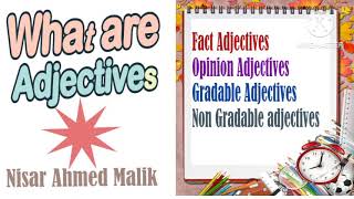 Learn Adjectives  Fact Opinion Gradable Non Gradable Adjectives  Learn English Grammar [upl. by Navinod688]