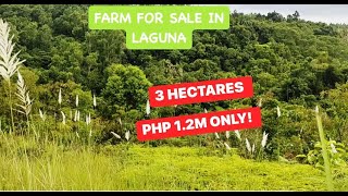 PROPERTY65 3 HECTARES PHP 12M ONLY HUGE FARM LOT [upl. by Va]