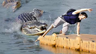 If You re Scared of Crocodiles Don t Watch This [upl. by Soracco]