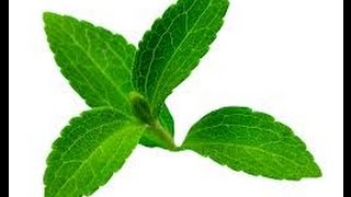 Herbs That Can Help You Quit smoking [upl. by Clymer]