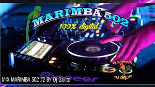 MIX MARIMBA 502 2 BY Dj Gallito [upl. by Anifesoj365]