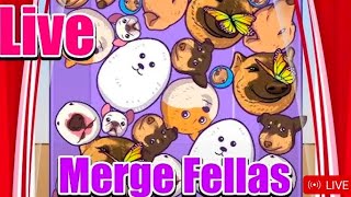 LIVE PLAYING MERGE FELLAS 3D MADNESS MADE WORLD RECORD FUN PLAY 137 [upl. by Garett317]